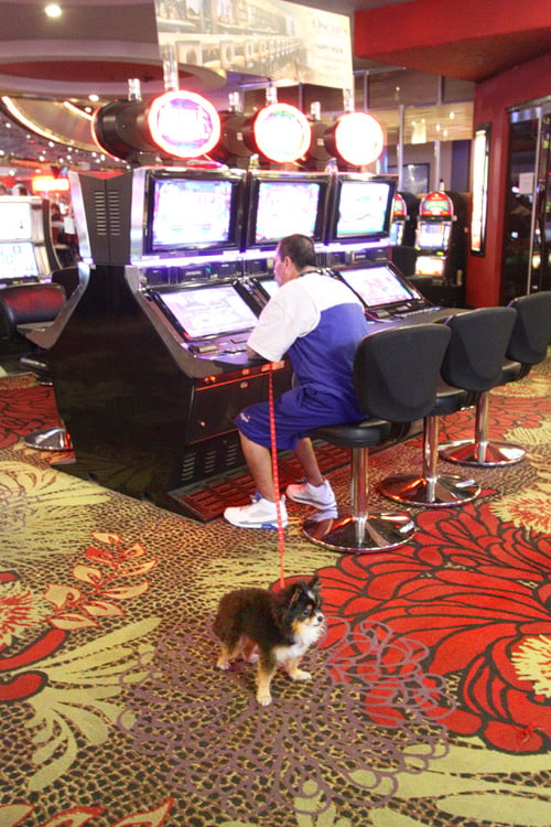Find Vegas Slots